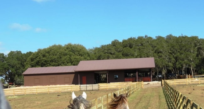 metal horse barn