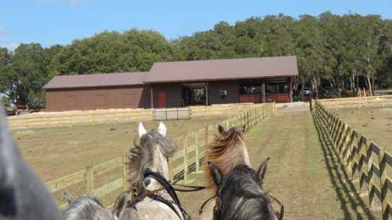 Custom brown metal horse barn.